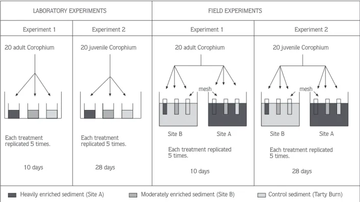 Figure 3. Diagram showing experimental design of two laboratory and two field experiments.