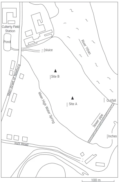 Figure 4. The location of the sites cho- cho-sen in the Newburgh South Quay mudflat.