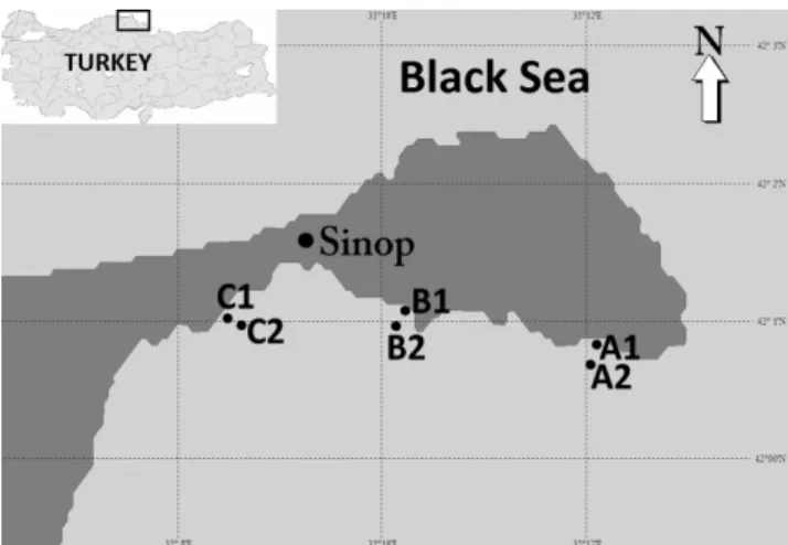 Fig. 1: Map of the study area showing the sampling stations. 
