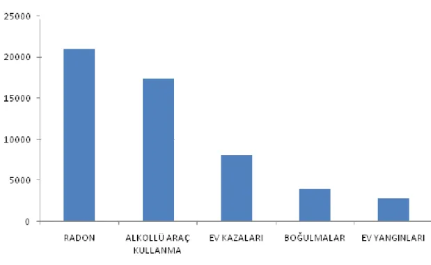 Şekil  13.  Amerika  Birleşik  Devletleri  Ulusal  Güvenlik  Konseyi  önlenebilir  ölümlerdeki ölümler için 2002 raporu (URL-1, 2008)