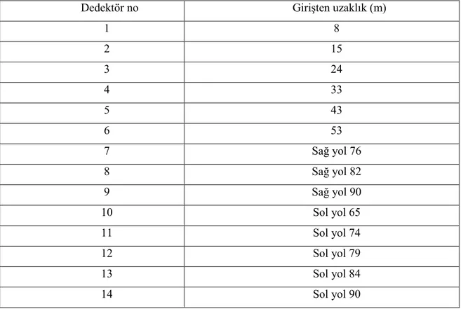 Tablo  12.  Karaca  Mağarası’nda  dedektör  konulan  ve  numune  alınan  yerlerin  girişten  uzaklığı 