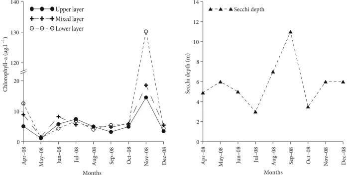 Figure 3. Fluctuation of chlorophyll a and Secchi disk depth at the sampling station in the Marmara Sea.