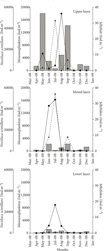 Figure 5. Fluctuations in total abundance of mesozooplankton  Noctiluca scintillans and jellyfish in the upper, mixed, and lower 