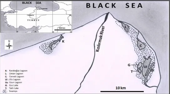 Figure 1. Map of the sampling area.