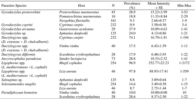 Table 2. Prevalance (%) and mean intensity values of monogenean parasite species of fishes in Lower Kızılırmak Delta 