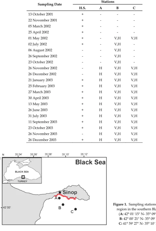 Figure 1.   Sampling stations at Sinop  region in the southern Black Sea 