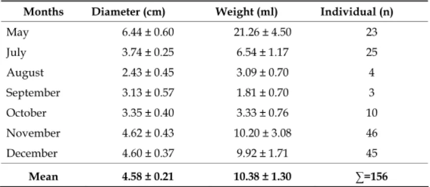 Table 3.  Aurelia aurita average diameter (cm) and average wet weight (ml) (X±SE) at Sinop  region during 2002