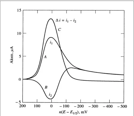 ġekil 2.18. Tersinir bir reaksiyon için uyarma sinyaline akım cevabı, A , (i 1 ) ileri                         akım; B, (i 2 ) ters akım; C, (i 1  – i 2 ) akım farkı 