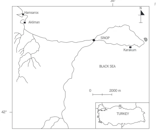 Figure 2. The collecting area of the broodstock oysters.