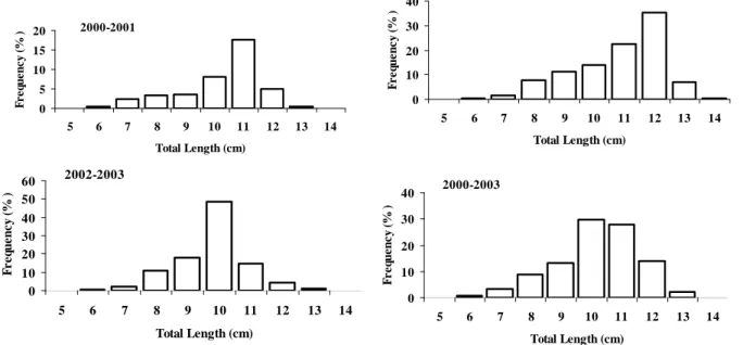 Fig. 3. Length-frequency distribution E. encrasicolus for years and overall catch. 