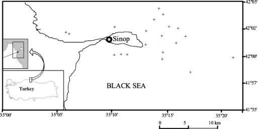 Figure 1. The locations of turbot gill net sets made off the Sinop Peninsula, Turkey. 