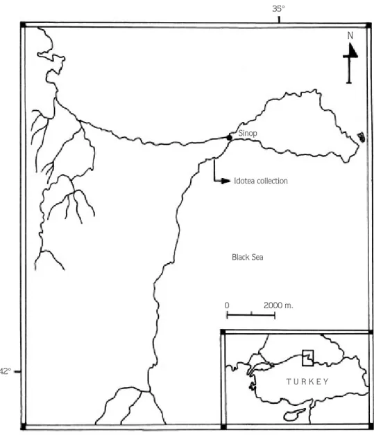 Figure 1. Map showing the location for collection of Idotea baltica.
