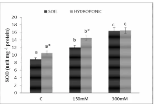 Fig.  2b.  Changes  in  CAT  activities  in  roots  of  Phaseolus 