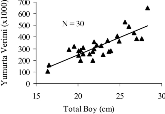 Şekil 4.  Scorpaena porcus Türünün Vücut Uzunluğu- Uzunluğu-Yumurta Verimi İlişkisi
