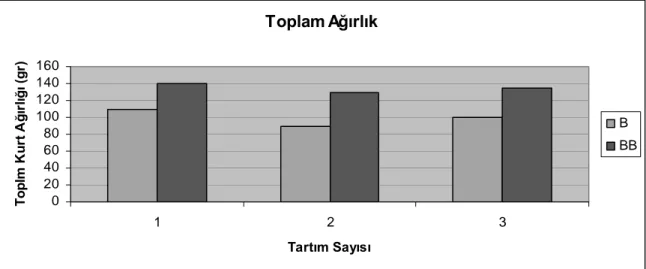 Şekil 8. İlk hasat dönemi tartımları B-BB karşılaştırılması 