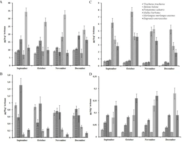 Figure 2 Zn, Cu, Pb and Cd concentrations (µg/g dry wt) in fish from Black Sea in 2010
