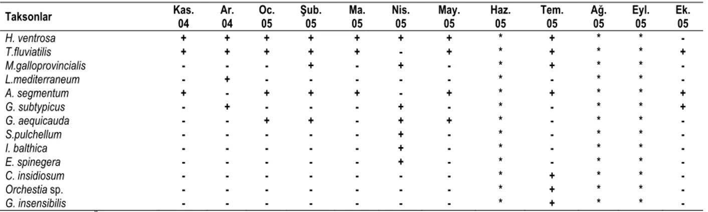 Tablo 7. Taksonların 3. istasyonda aylara göre dağılımları. 