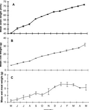 Figure 4. Monthly distribution of mean shell length (A), live weight (B) and wet meat weight (C) with standard error from 