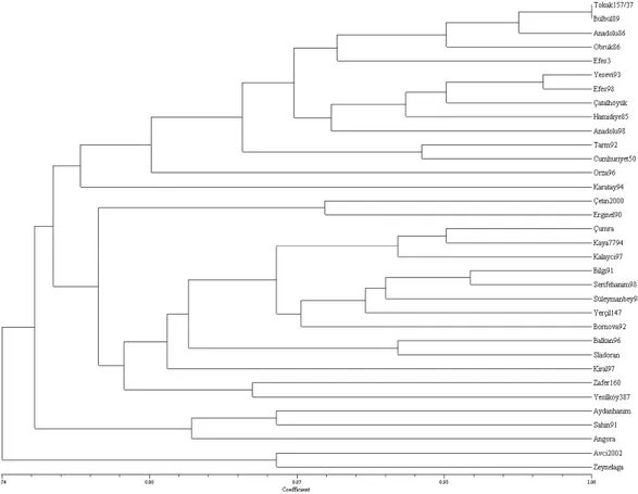 Figure 3. Phenogram showing genetic diversity among 34 Turkish barley cultivars using hordein data.