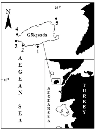 Fig. 1: Locations of the sampling stations off Gökçeada Island.