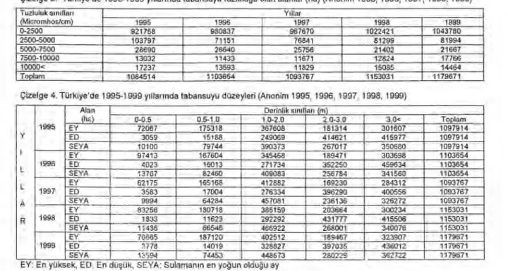 Çizelge 3. Türkiye'de 1995-1999 y ı lları nda tabansuyu tuzlulu ğ u olan alanlar (ha) (Anonim 1995, 1996, 1997, 1998, 1999) 