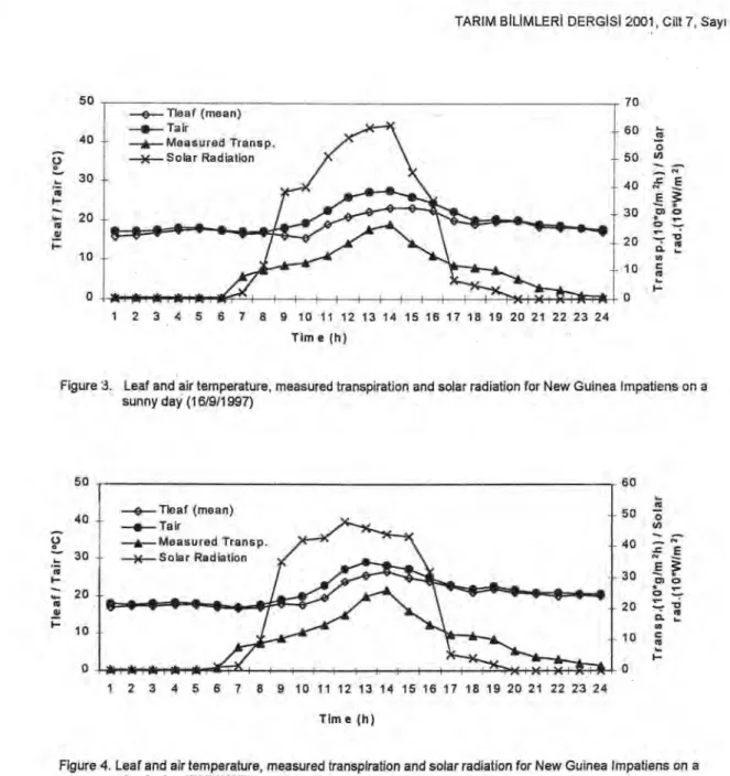 Figure 3. Leaf and air temperature, measured transpiration and solar radiation for New Guinea Irnpatiens on a  sunny day (16/9/1997) 