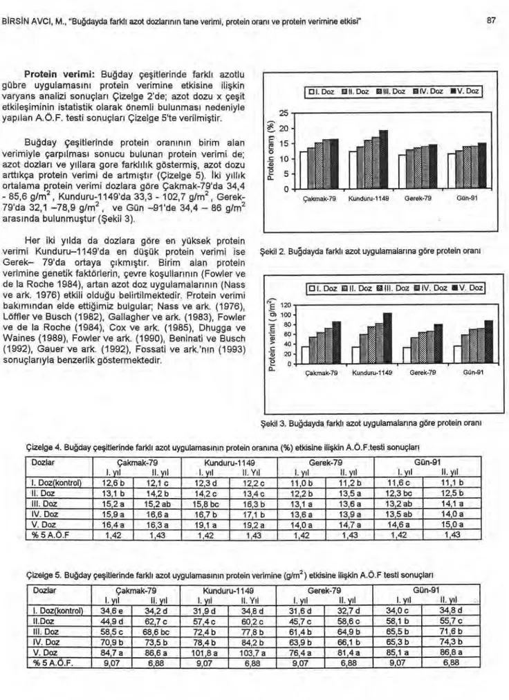 Çizelge 4. Bu ğ day çe ş itlerinde farkl ı   azot uygulamas ı n ı n protein oran ı na (%) etkisine ili ş kin A.Ö.F.testi sonuçlar ı 