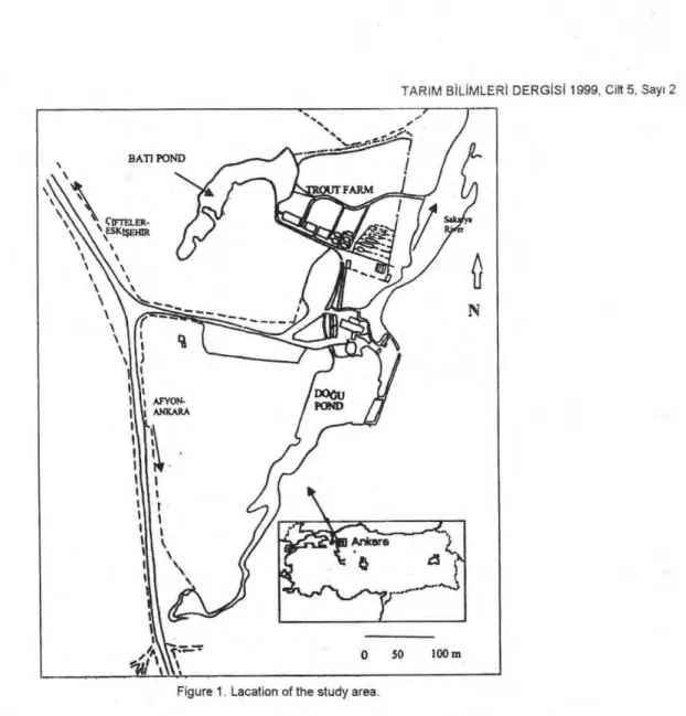 Figura 1. Lacation  of the study area. 