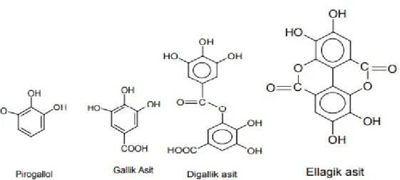Şekil 1.2: Hidrolize Tanen Yapıtaşları (Kurt ve Mengeloğlu, 2006) 