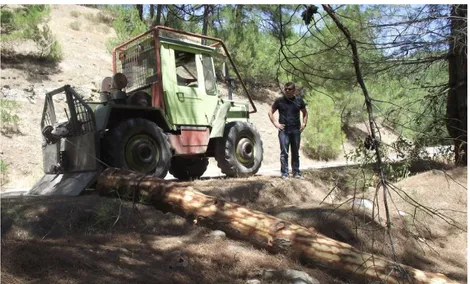 Şekil 1.7: Orman traktörüyle bölmeden çıkarma (Sert, 2014) 