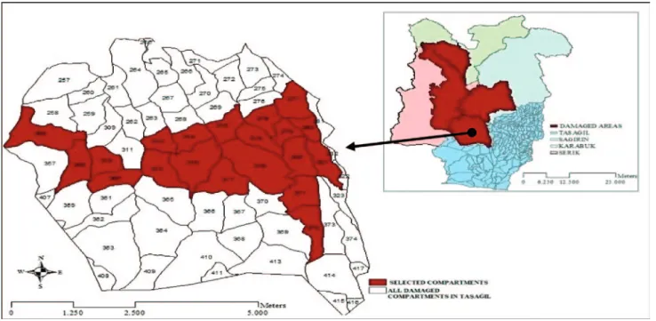 Figure 3.  Areas damaged by Serik-Taşag˘l fire and selected forest compartments in Taşag˘l FEC