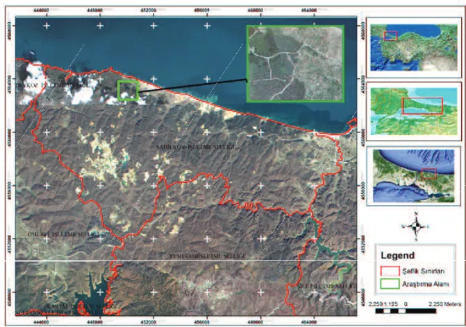 Figure  . The location of Sile Forest Administration in northern Turkey. Locación del bosque de Sile Bosque en el norte de Turquía