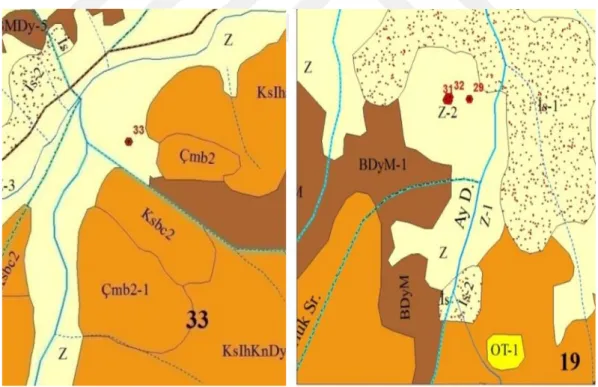 Şekil  3.5  :  Yalova  bölgesi  Çınarcık  ve  Armutlu  mevkisinden  alınan  toprak  profillerinin meşcere tiplerine dağılımı.