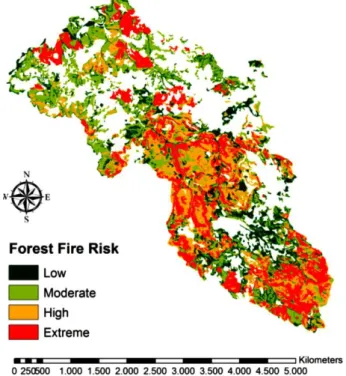 Figure 7. Forest fire risk map  