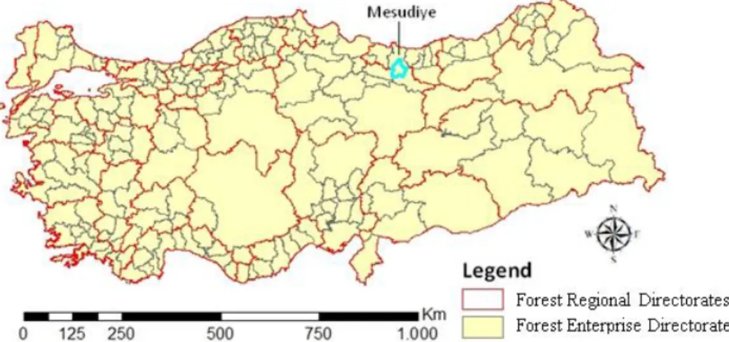 Figure 1. The location of Mesudiye on the map of Turkey 