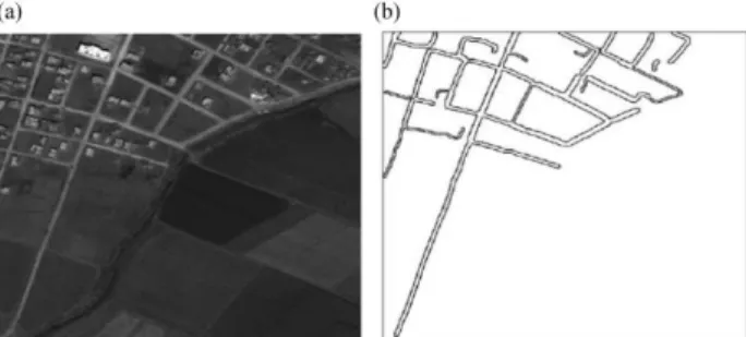Figure 5: The segmented lines, i.e. road candidates, from the  visual image (a) must be accompanied by parallel lines as hint  for buildingsin the SAR image (b) to verify the road hypothesis 