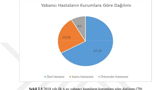 Şekil 2.5 2018 yılı ilk 6 ay yabancı hastaların kurumlara göre dağılımı (79) 