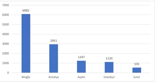 Şekil 2.7 Türkiye’de sağlık hizmeti almış Birleşik Krallık vatandaşlarının en çok tercih ettiği iller-2014  (78) 