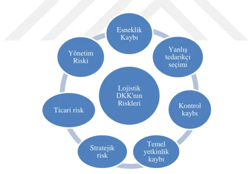 Şekil 2.1. Lojistik DKK’nın Riskleri 