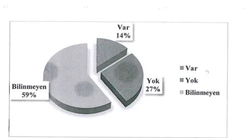 Şekil 3. 6. Gönüllülerin Gönüllülük Deneyimleri