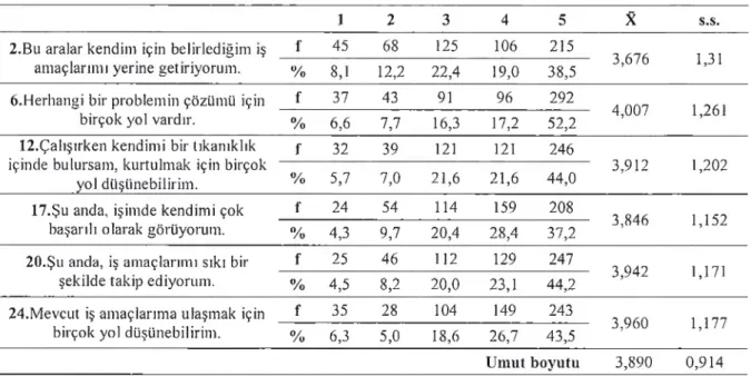 Tablo 6. Pozitif Psikolojik Sermaye Umut Boyutuna İlişkin Bulgular