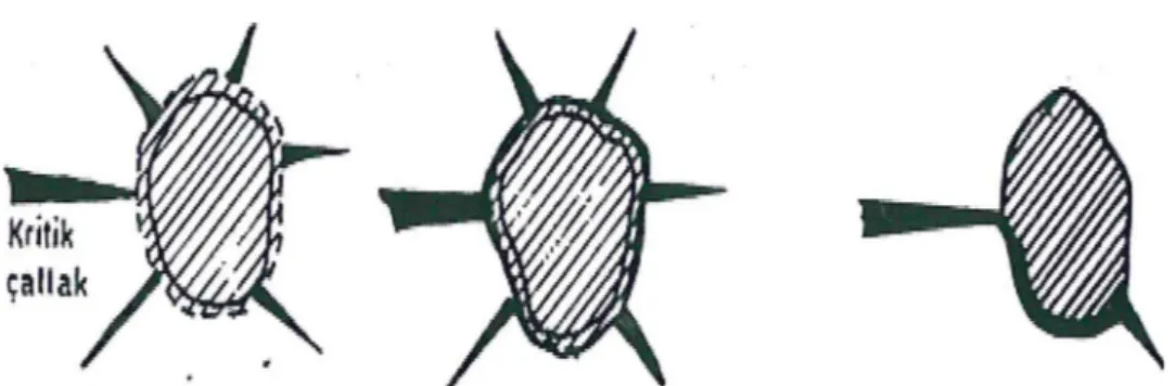 Şekil 2. 15  Tetragonal-monoklinik faz dönüşümü sırasında mikro çatlak oluşumu ve ilerleyen bir çatlağın  dallanması veya yön değiştirmesi (Sağlam, 2005)