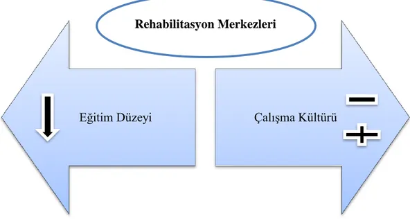 Şekil 3.2 Eğitim Düzeyinin Çalışma Kültürü Üzerindeki Etkisi 