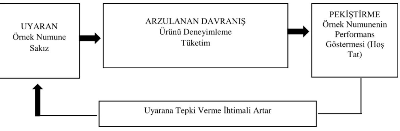 Şekil 2.3 Edimsel Koşullanma ile Öğrenme (Odabaşı &amp; Barış, 2019) 