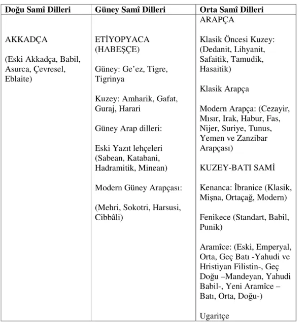 Tablo 1: Samî Dilleri 276
