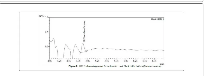 Figure 3: HPLC chromatogram of β-carotene in Local Black cattle heifers (Summer season).