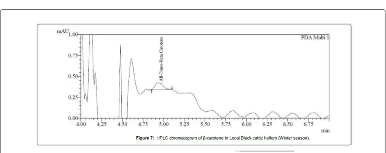Figure 8: HPLC chromatogram of β-carotene in the lactation period of Local black cattle (Winter season).