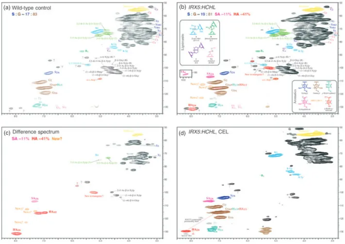 Figure 2 Partial 2D HSQC NMR spectra (aromatic and aliphatic regions) of cell wall material from wild-type and IRX5:HCHL(2) plants