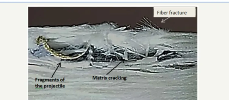 Figure 6: Cross sectional view of the damaged composite 
