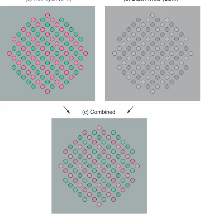 Figure 1 . Sample (a) red–cyan and (b) black–white component patterns, whose modulations are opposite in orientation, and (c) the two combined.
